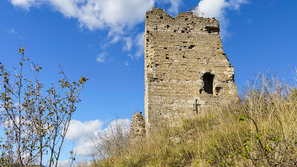 Château de l'Aiguebelle photo
