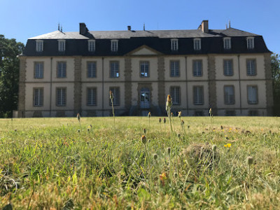 Château de Landebaudière photo
