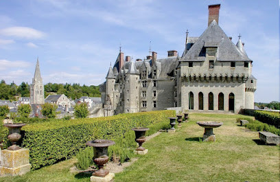Château de Langeais photo