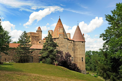 Château de Lespinasse photo