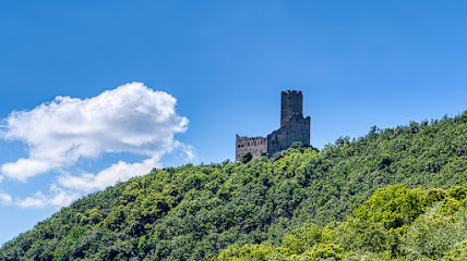 Château de l'Ortenbourg photo