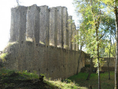 Château de Lourdon photo