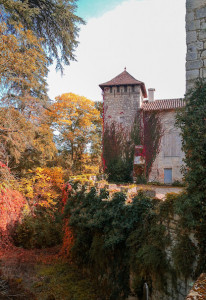 Château de Manlèche photo