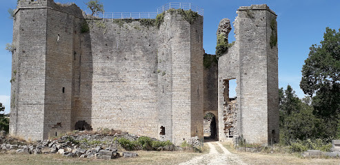 Château de Montfort photo