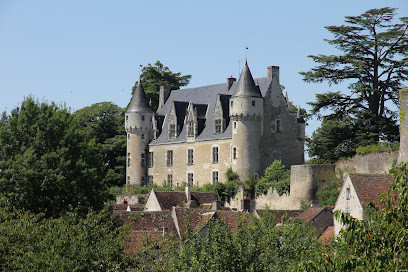 Château de Montrésor photo