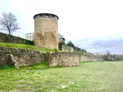 Château de Parthenay photo