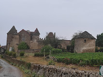 Château de Pontus de Tyard photo