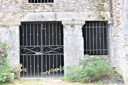 Château de Pusignan photo