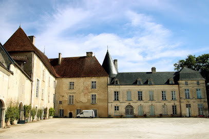 Château de Ricey-Bas photo
