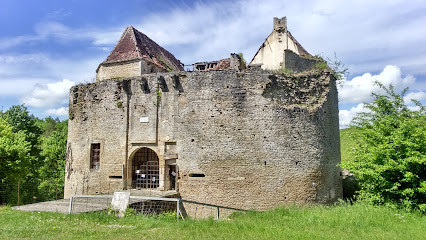 Château de Rochefort photo