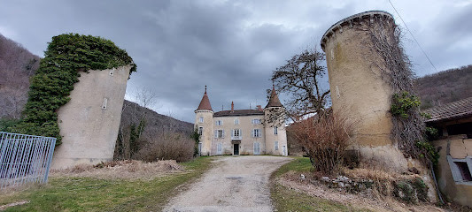 Château de Rosy photo