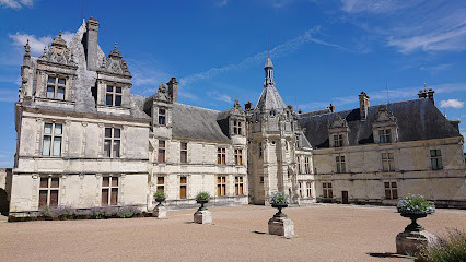 Château de Saint-Aignan-sur-Cher photo