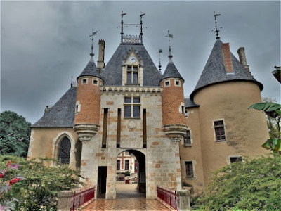 Château de Saint-Florent-sur-Cher photo