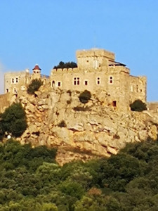 Château de Saint-Martin-de-Toques photo
