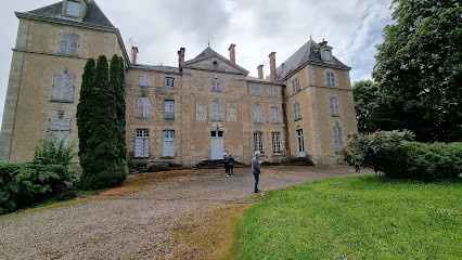 Château de Sainte-Sévère-sur-Indre photo