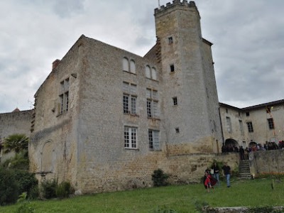 Château de Tardes photo