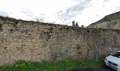 Château de Temniac photo