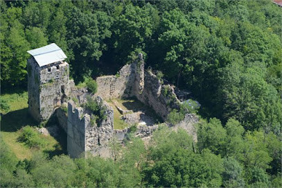 Château de Thol photo