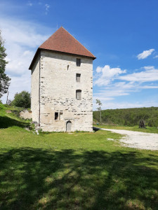 Château de Vignory photo