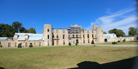 Château de Villemont photo