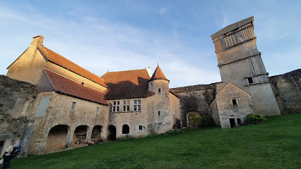 Château d'Oricourt photo
