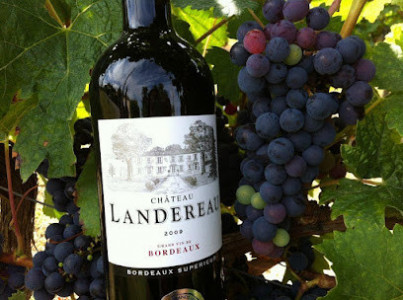 Château Landereau - Vignobles Baylet photo