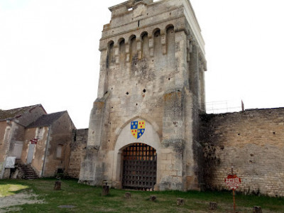 Château Médiéval de Druyes photo