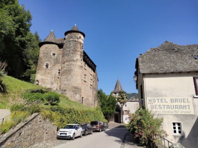 Chateau Moyenâgeux de Vieillevie photo
