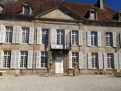Chateau Prangey, France photo