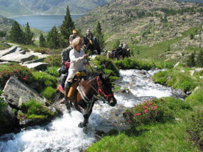 Cheval en Pyrénées - Base de randonnées à cheval dans les Pyrénées photo