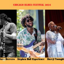 Chicago Blues Festival photo