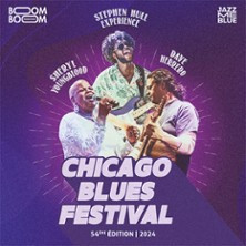 Chicago Blues Festival photo