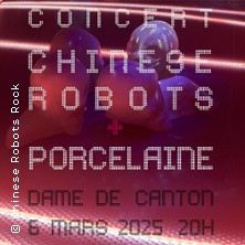 Chinese Robots + Porcelaine photo