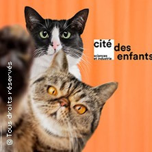 Cité des Enfants 5-10 ans photo