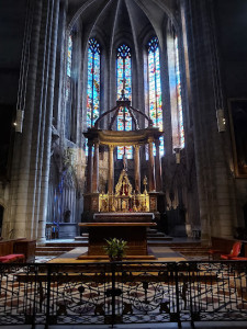 Collégiale Saint-Salvi d'Albi photo