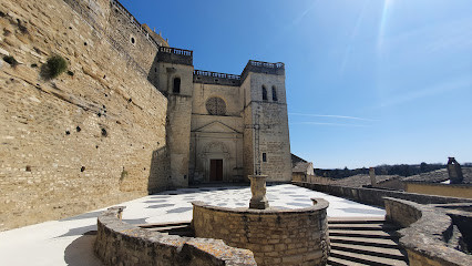 Collégiale Saint Sauveur photo