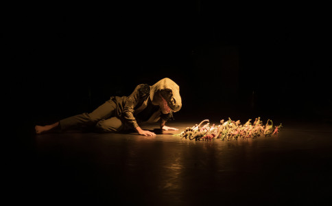 Conférence dansée Dinosaures de la Compagnie D-daL photo
