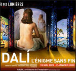 DALI, L'ENIGME SANS FIN photo