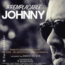 David Becker - Irremplaçable Johnny photo