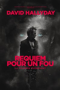David Hallyday : Requiem pour un fou photo