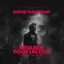 David Hallyday - Requiem pour un Fou - Tournée photo