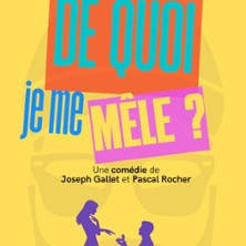 De Quoi je me Mêle ? - Le Complexe, Lyon photo