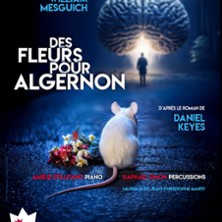 Des Fleurs pour Algernon - Théâtre du Roi René, Avignon photo