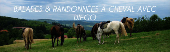 Diego, balades et randonnées à cheval photo