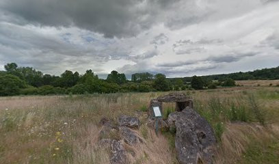 Dolmen d'Amenon photo