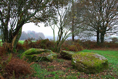 Dolmen de Coët-er-Rui photo