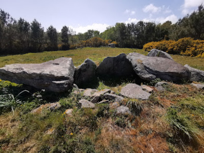 Dolmen de Kerprovost photo