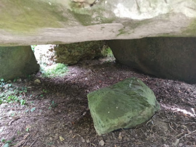 Dolmen de la Grosse Pierre (Verneusses) photo