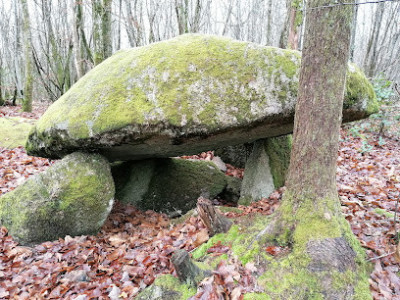 Dolmen de la Lieue photo