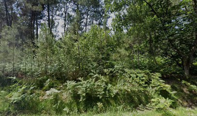 Dolmen de la Pidoucière photo